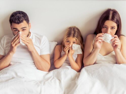 Indoor air quality solutions in Murfreesboro, TN